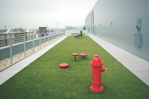 Arvind Oasis Location (3)