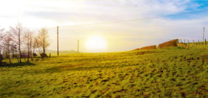 Godrej Properties New Launch Plots woodland